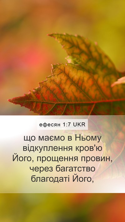 ефесян 1:7 UKR Bible Verse Image
