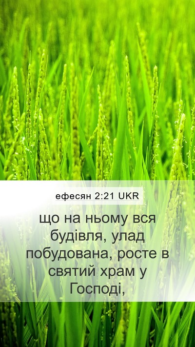 ефесян 2:21 UKR Bible Verse Image