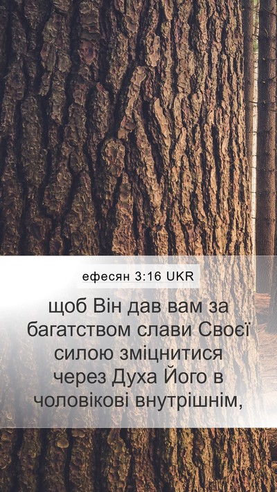 ефесян 3:16 UKR Bible Verse Image