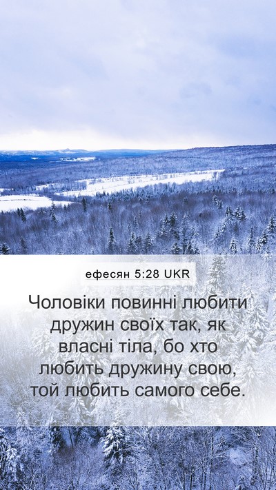ефесян 5:28 UKR Bible Verse Image