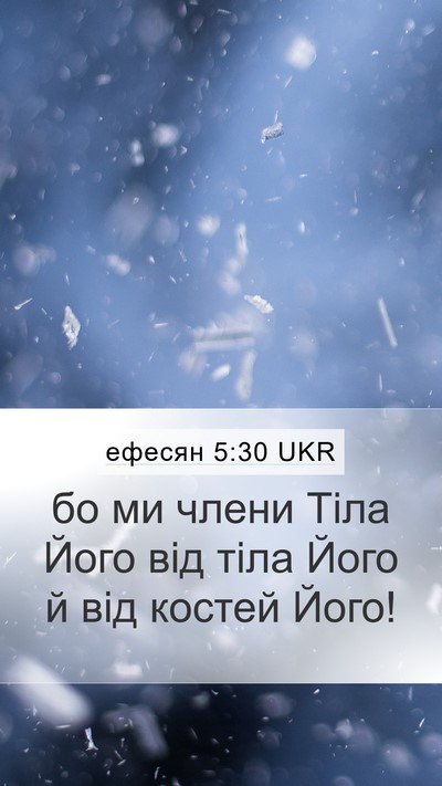 ефесян 5:30 UKR Bible Verse Image