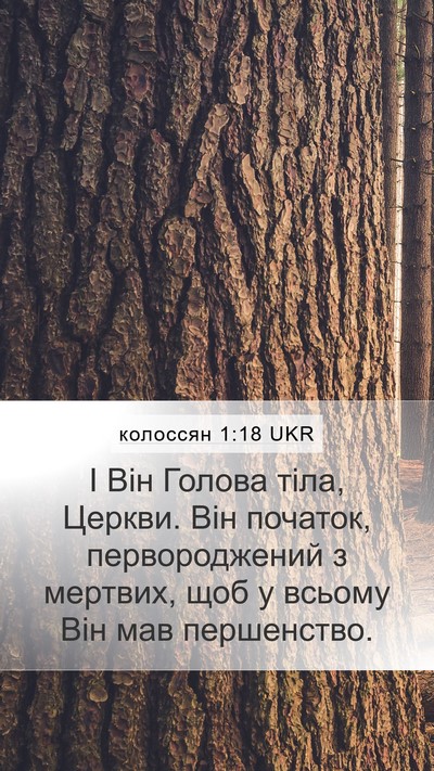 колоссян 1:18 UKR Mobile Phone Wallpaper - І Він Голова тіла, Церкви. - Mobile Bible Verse Wallpaper