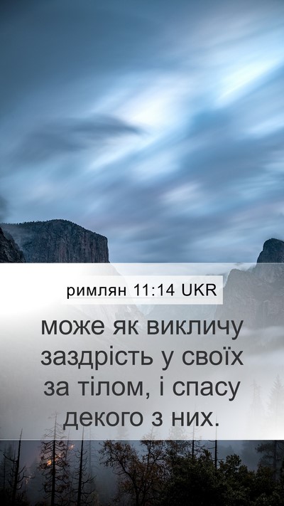 римлян 11:14 UKR Bible Verse Image