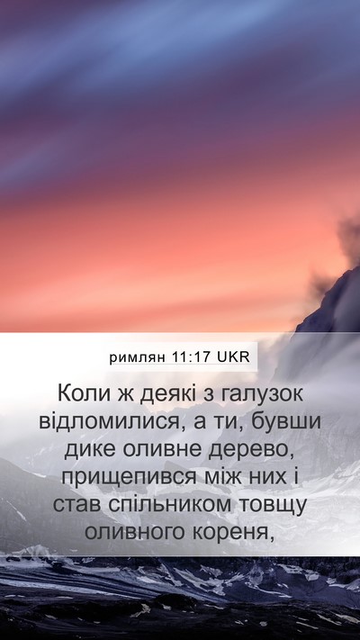 римлян 11:17 UKR Bible Verse Image