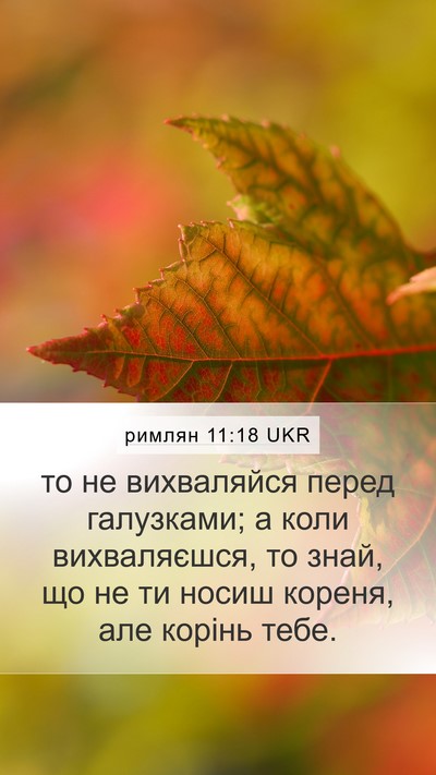 римлян 11:18 UKR Bible Verse Image
