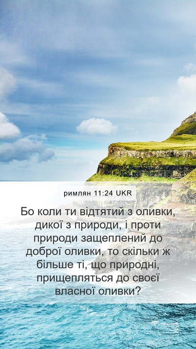 римлян 11:24 UKR Bible Verse Image