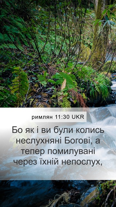 римлян 11:30 UKR Bible Verse Image