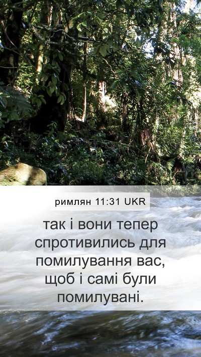 римлян 11:31 UKR Bible Verse Image