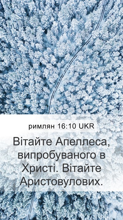 римлян 16:10 UKR Mobile Phone Wallpaper - Вітайте Апеллеса, - Mobile Bible Verse Wallpaper