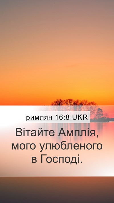 римлян 16:8 UKR Mobile Phone Wallpaper - Вітайте Амплія, мого - Mobile Bible Verse Wallpaper