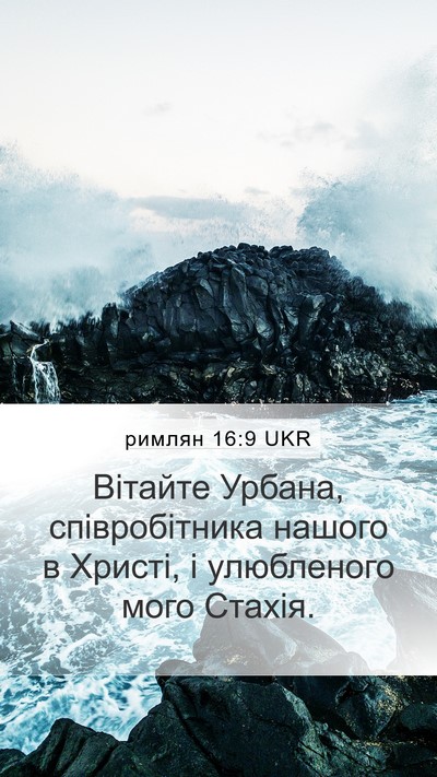 римлян 16:9 UKR Bible Verse Image