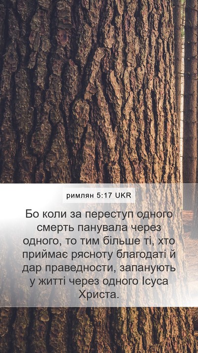 римлян 5:17 UKR Bible Verse Image