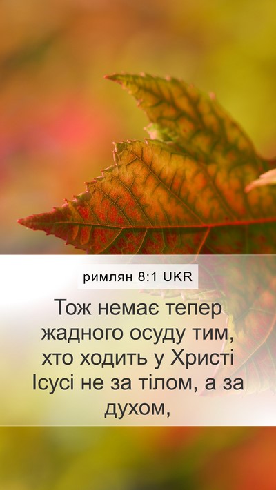 римлян 8:1 UKR Bible Verse Image