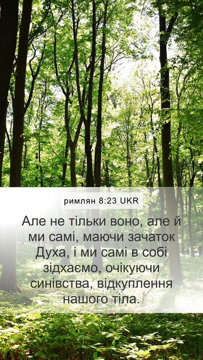 римлян 8:23 UKR Bible Verse Image