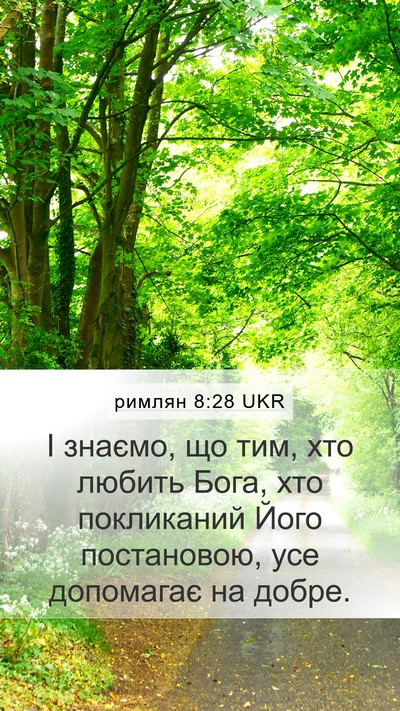 римлян 8:28 UKR Bible Verse Image