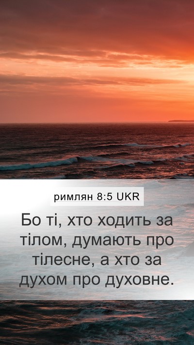 римлян 8:5 UKR Bible Verse Image
