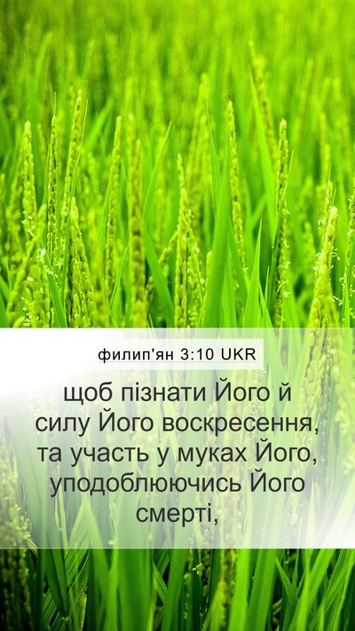 филип'ян 3:10 UKR Bible Verse Image