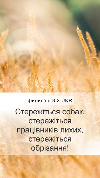филип'ян 3:2 UKR Bible Verse Image