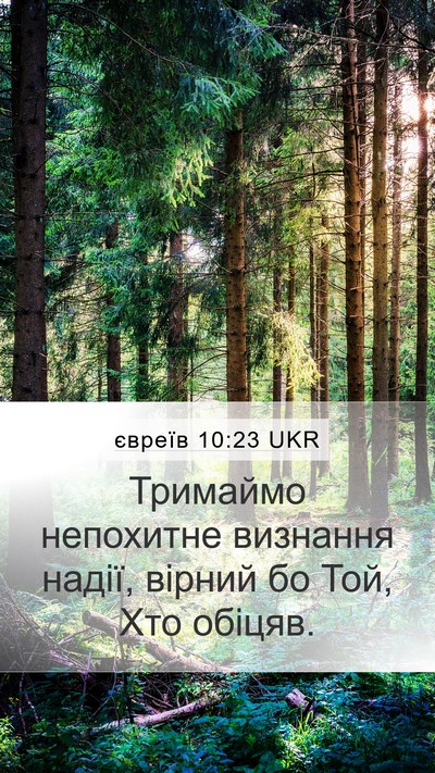 євреїв 10:23 UKR Bible Verse Image