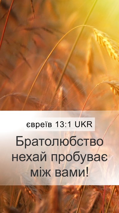 євреїв 13:1 UKR Bible Verse Image