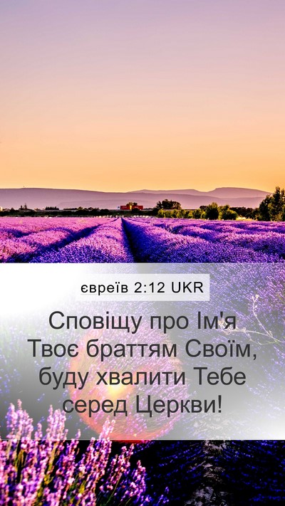 євреїв 2:12 UKR Bible Verse Image