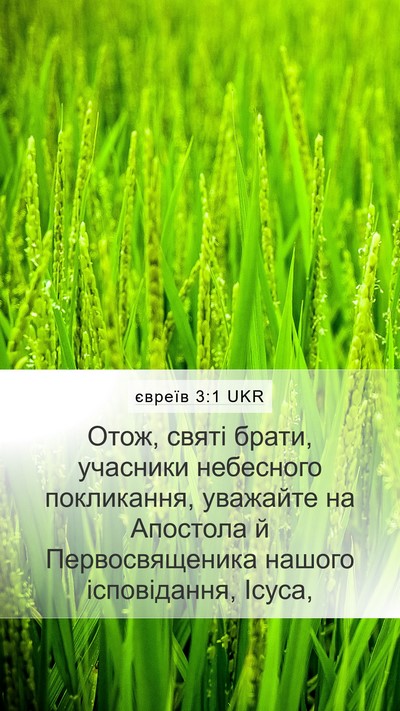 євреїв 3:1 UKR Bible Verse Image
