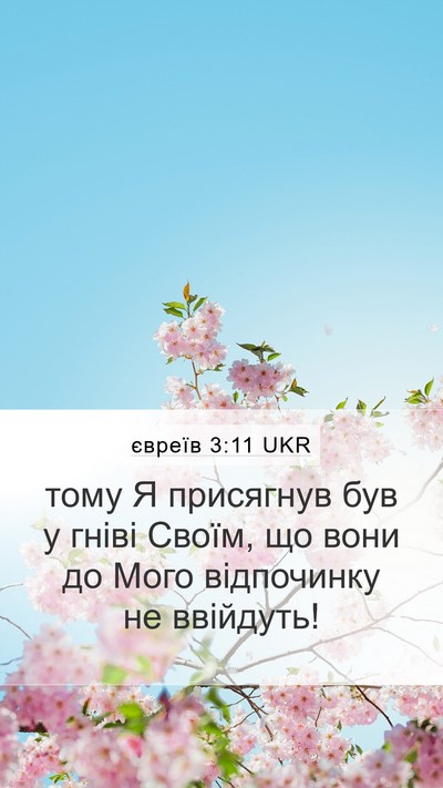 євреїв 3:11 UKR Bible Verse Image