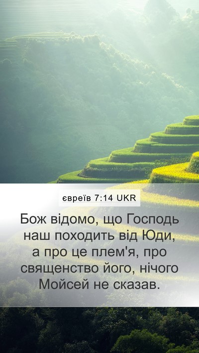 євреїв 7:14 UKR Bible Verse Image