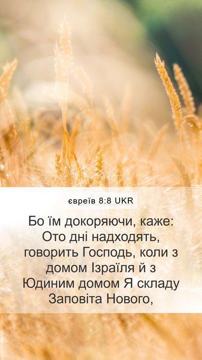 євреїв 8:8 UKR Bible Verse Image